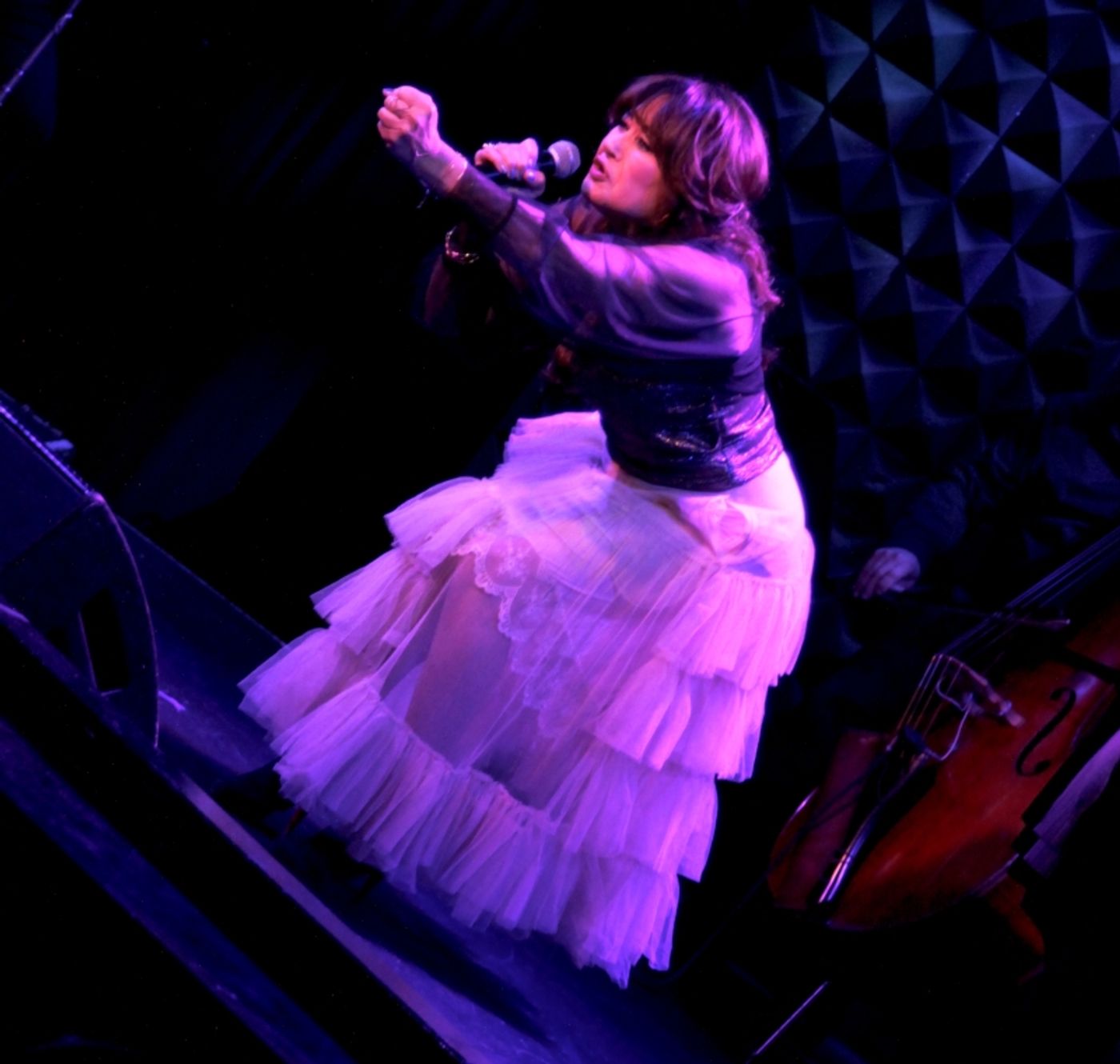 Review:  Spirits And Money Are Raised At The NIGHT OF A THOUSAND JUDYS Benefit for The Ali Forney Center at Joe's Pub  Image