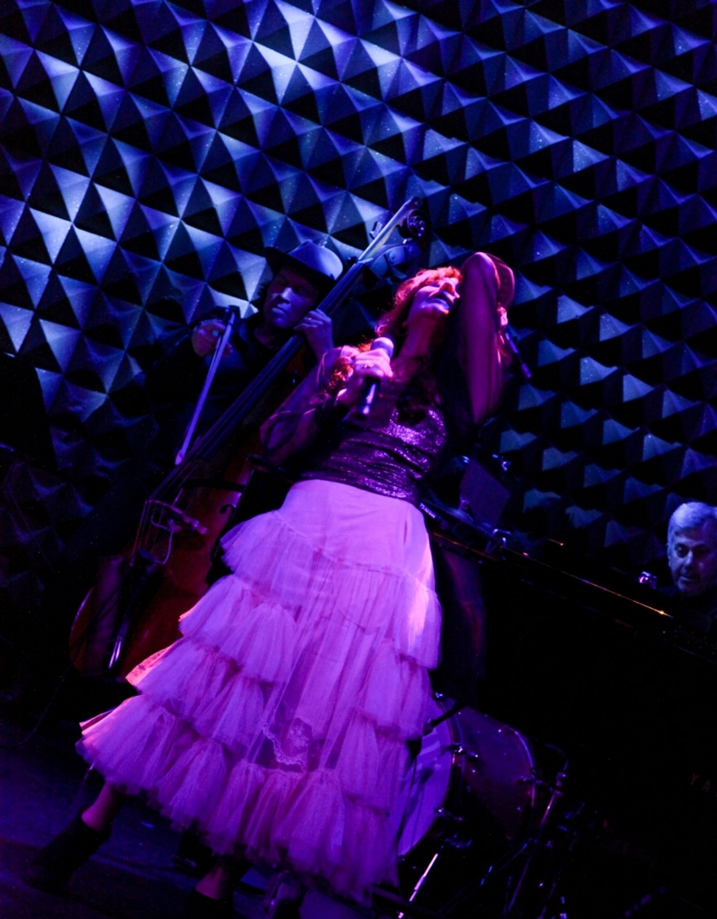 Review:  Spirits And Money Are Raised At The NIGHT OF A THOUSAND JUDYS Benefit for The Ali Forney Center at Joe's Pub  Image