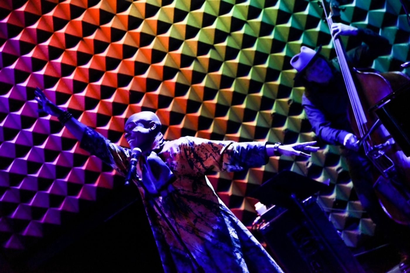 Review:  Spirits And Money Are Raised At The NIGHT OF A THOUSAND JUDYS Benefit for The Ali Forney Center at Joe's Pub  Image