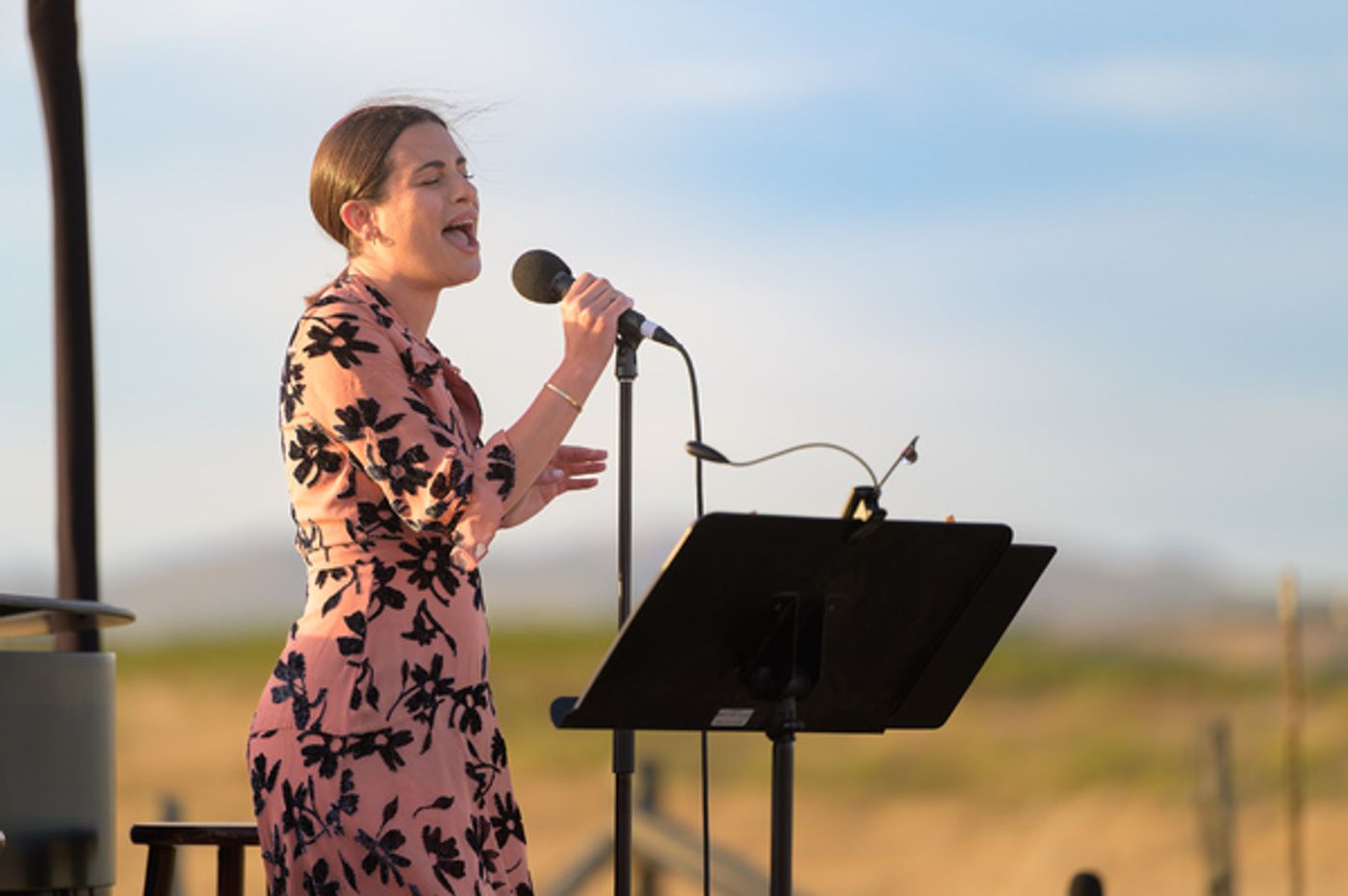 Photos: GLEE Star Lea Michele Kicks Off the BROADWAY AND VINE Concert Series  Image