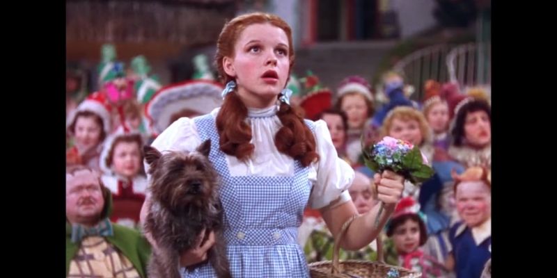 Feliz cumpleaños, Judy Garland Feliz cumpleaños, Judy Garland Image