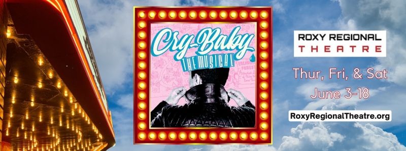 Review: Roxy Regional Theatre's CRY-BABY: THE MUSICAL Serves Up Swell Summer Fun Image
