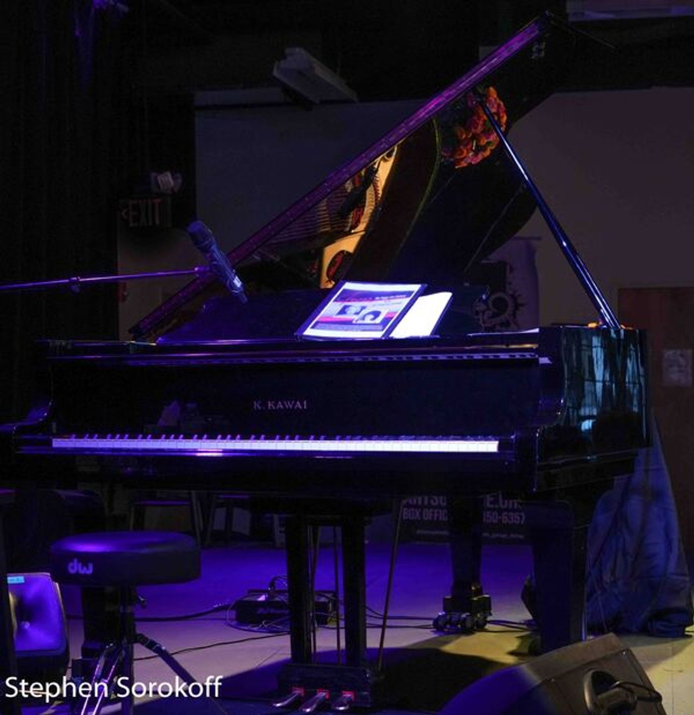 Photo Coverage: Ann Hampton Callaway Brings Peggy Lee to Arts Garage  Image