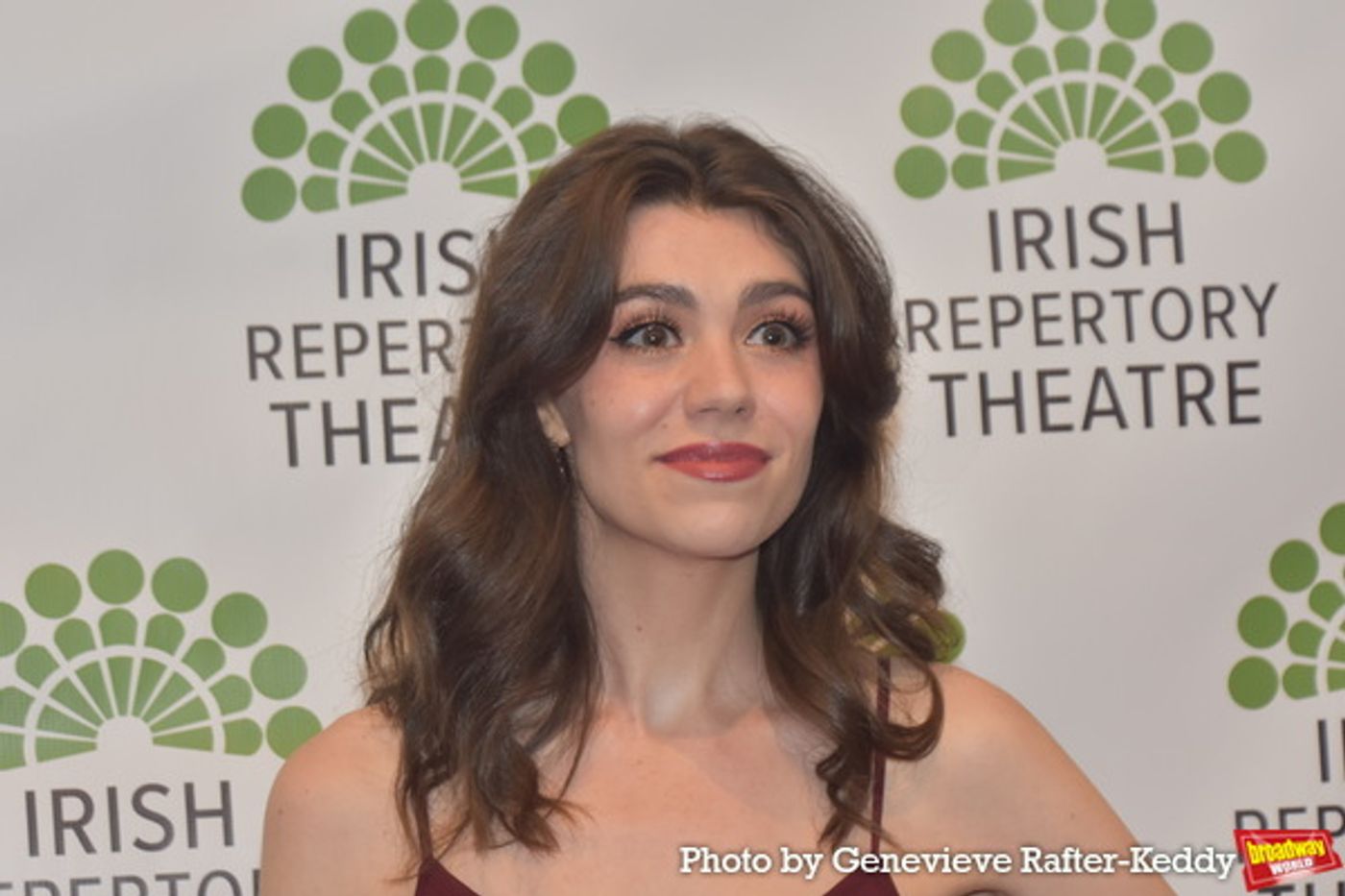 Photos: On the Red Carpet at the Irish Repertory Theatre Gala  Image