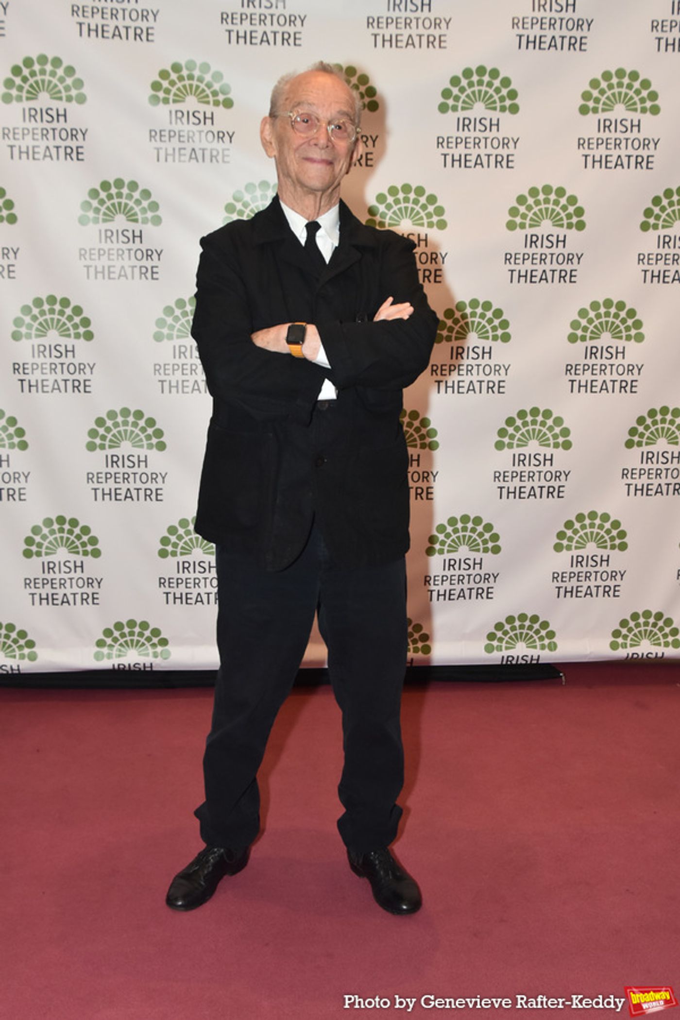 Photos: On the Red Carpet at the Irish Repertory Theatre Gala  Image