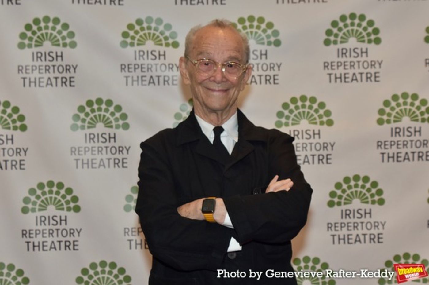 Photos: On the Red Carpet at the Irish Repertory Theatre Gala  Image