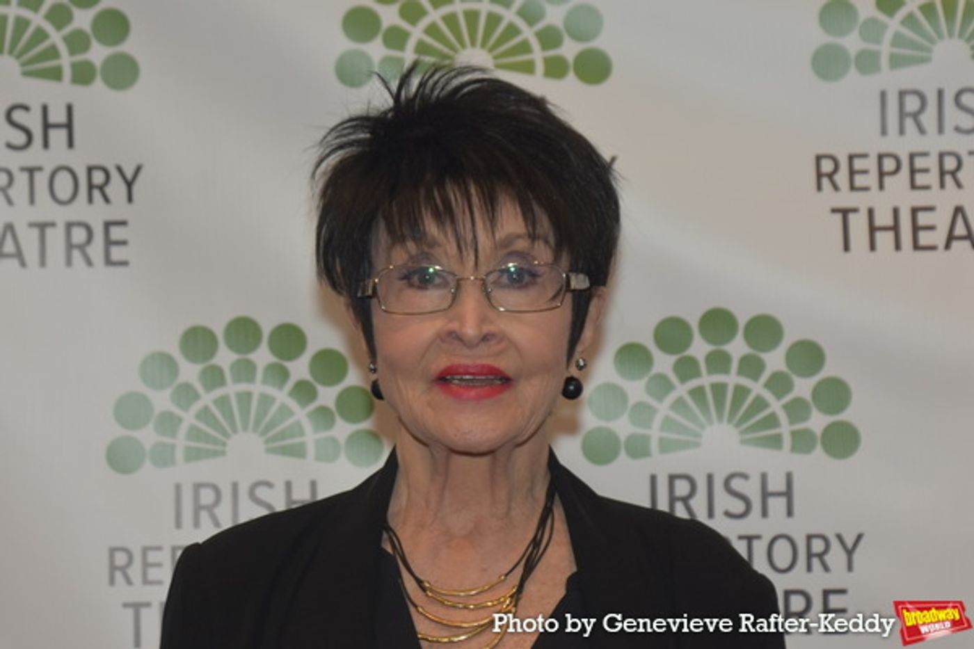 Photos: On the Red Carpet at the Irish Repertory Theatre Gala  Image