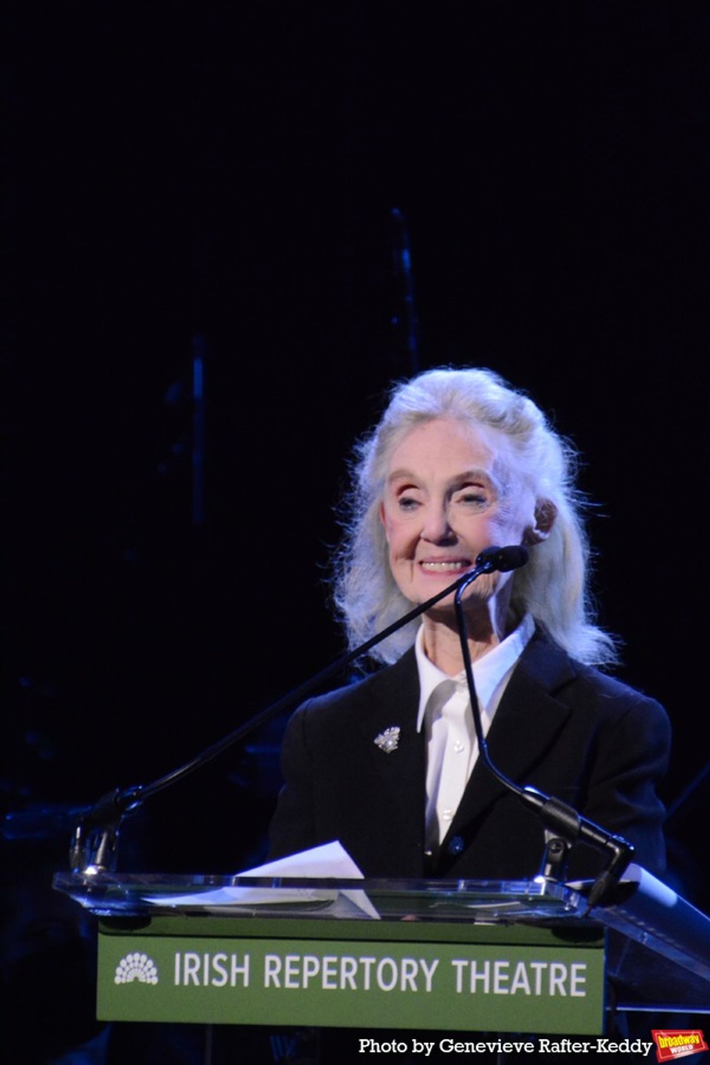 Photos: Inside the Irish Repertory Theatre Gala Concert  Image