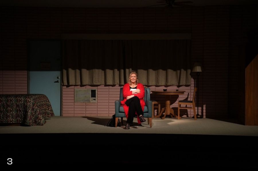 Review: DANA H. at Berkeley Rep Recounts a Harrowing True Tale to Startlingly Theatrical Effect  Image