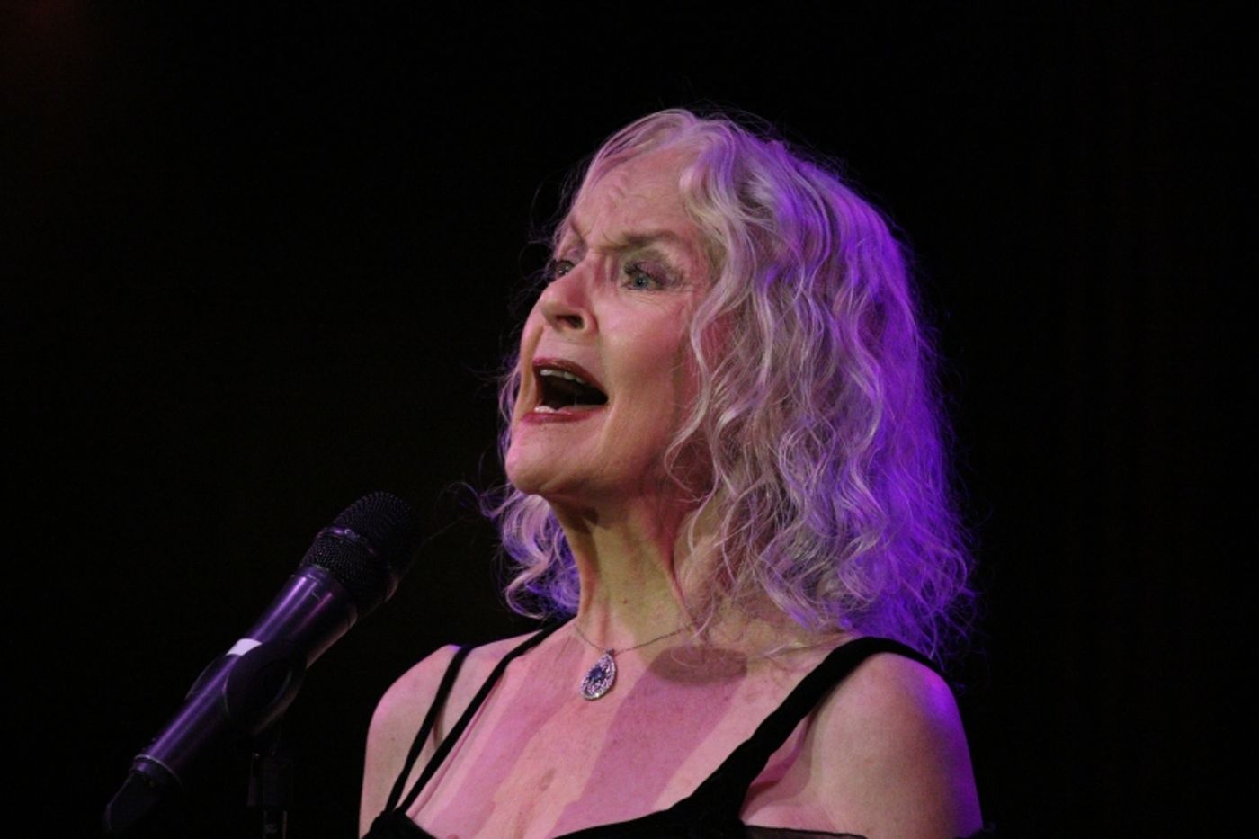 Photos:  AMERICAN POPULAR SONG SOCIETY TRIBUTE TO LEE ROY REAMS at The Cutting Room by Bowie Dunwoody  Image