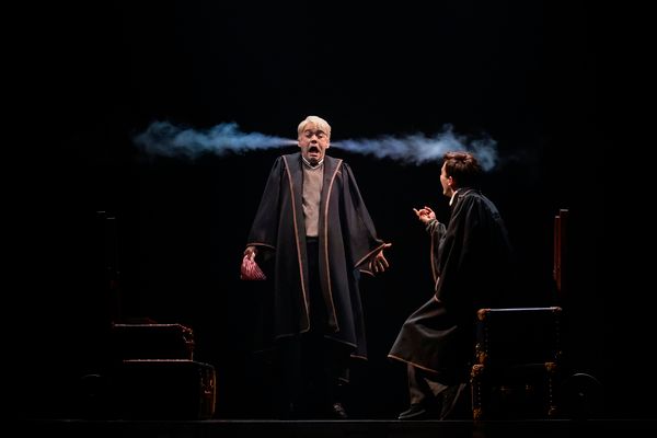 Photos: First Look at the Canadian Premiere of HARRY POTTER AND THE CURSED CHILD — photo 14 of 16