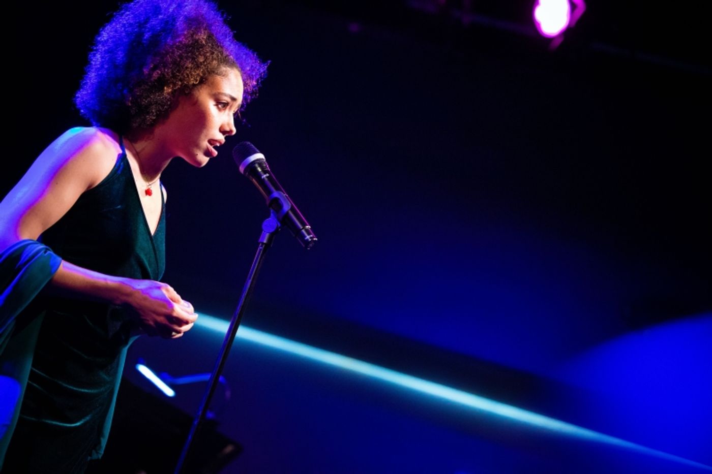 Photos:  June 14th Instalment Of THE LINEUP WITH SUSIE MOSHER at Birdland Theater by Matt Baker  Image