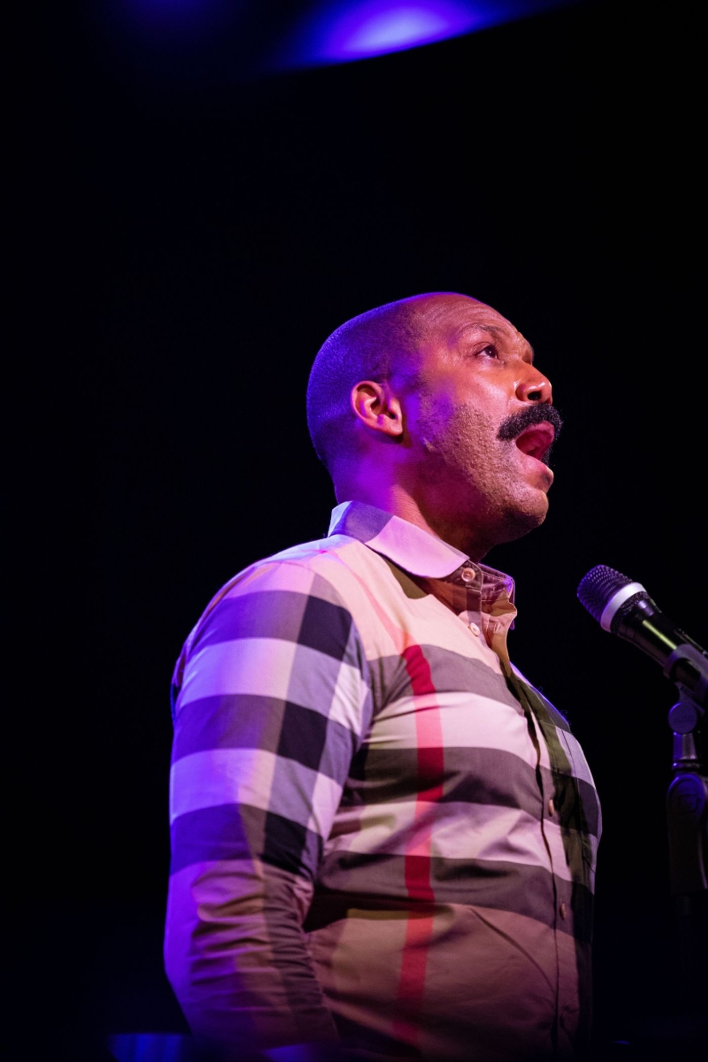 Photos:  June 14th Instalment Of THE LINEUP WITH SUSIE MOSHER at Birdland Theater by Matt Baker  Image