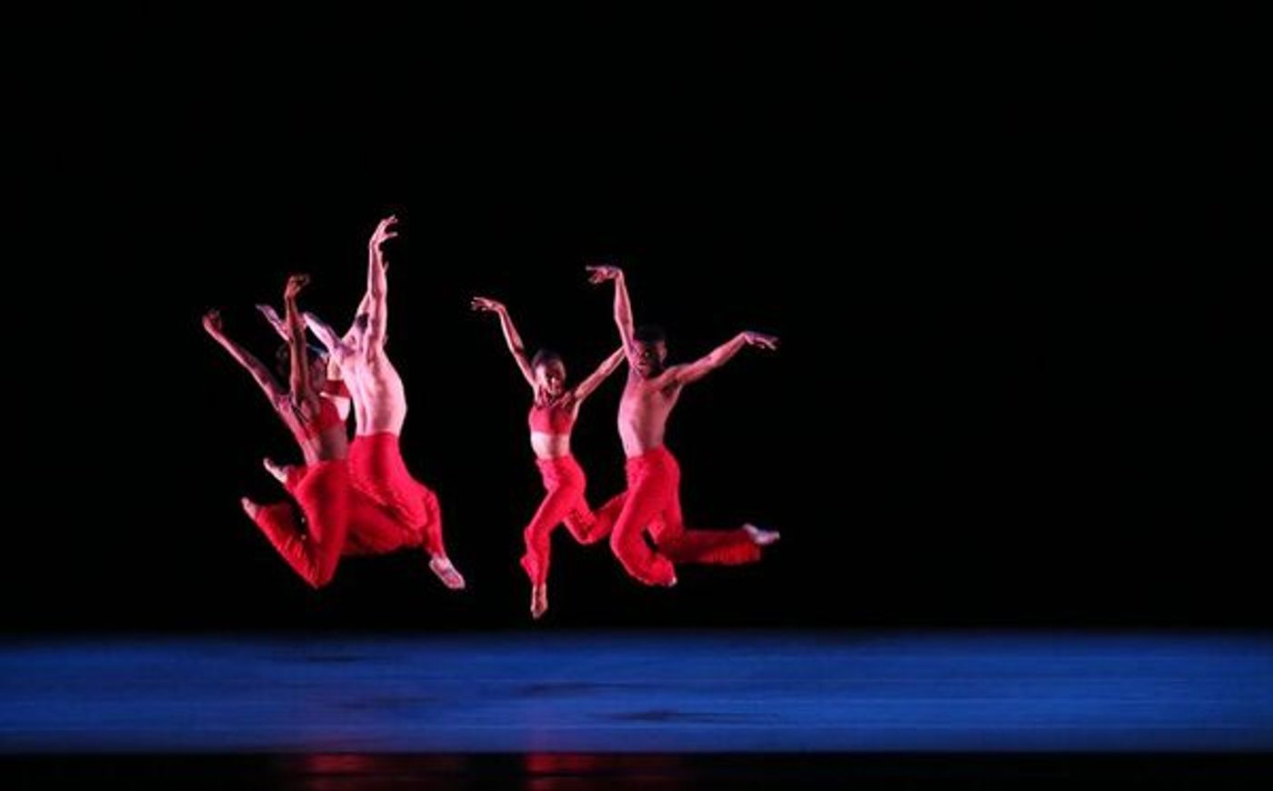 Photos: Cynthia Erivo, Amy Poehler, Lena Waithe and More Attend the 2022 Ailey Spirit Gala  Image