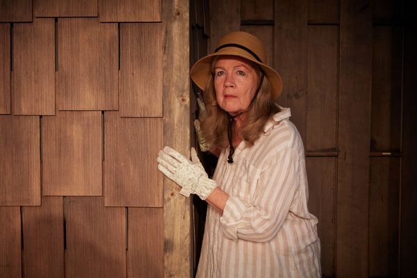 Linda Gehringer Photo