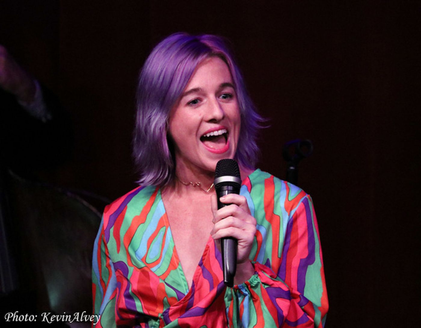 Photos: Check Out Recent Performances at Jim Caruso's Cast Party  Image