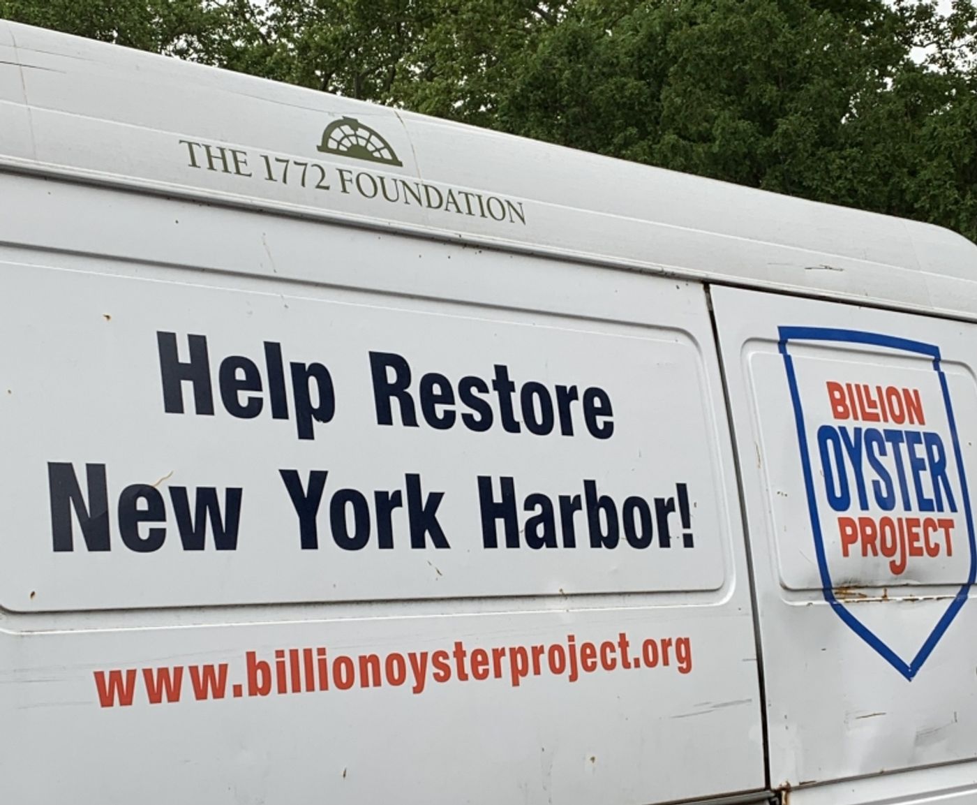 Villa Maria Wine and Billion Oyster Project  Image