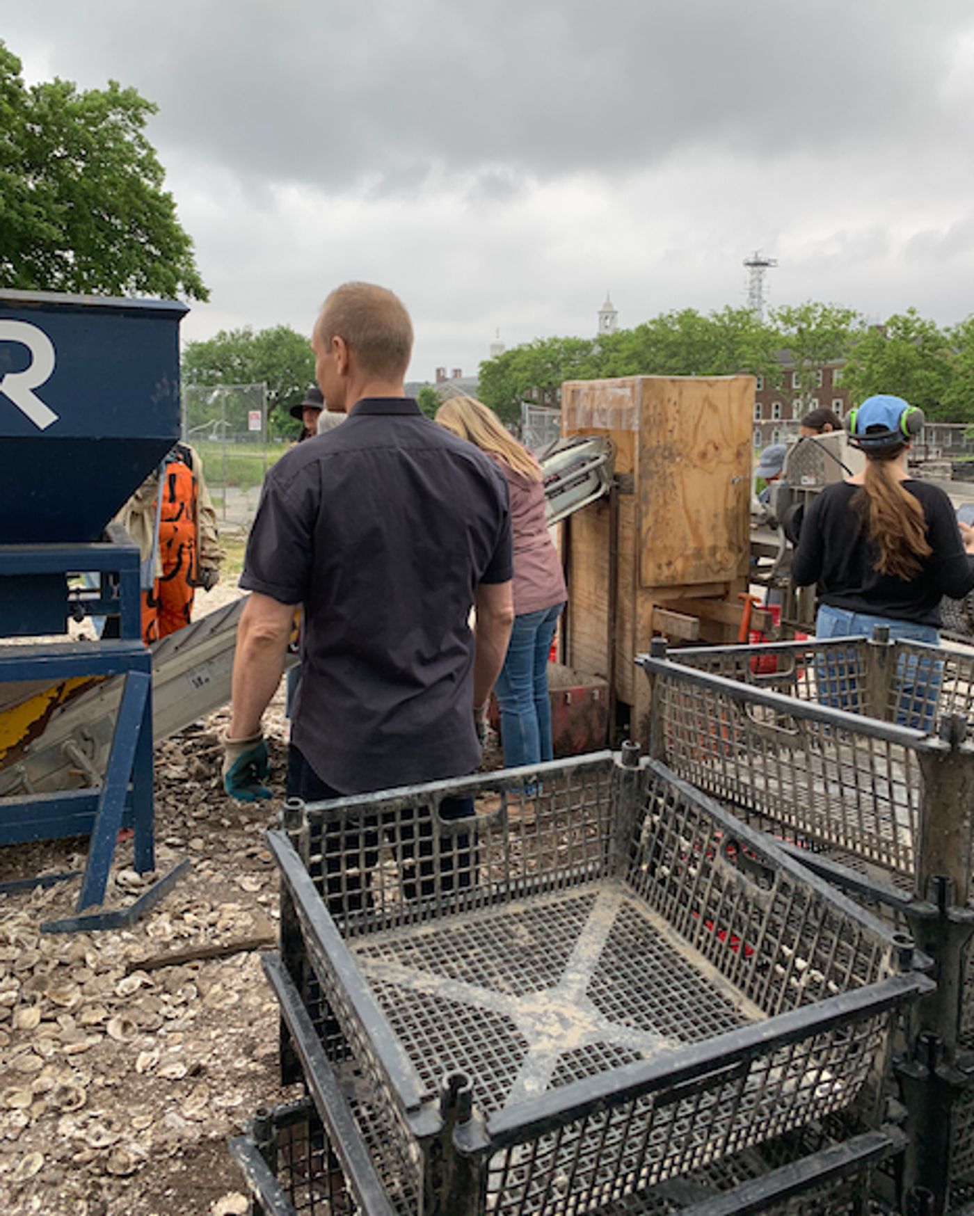 Villa Maria Wine and Billion Oyster Project  Image