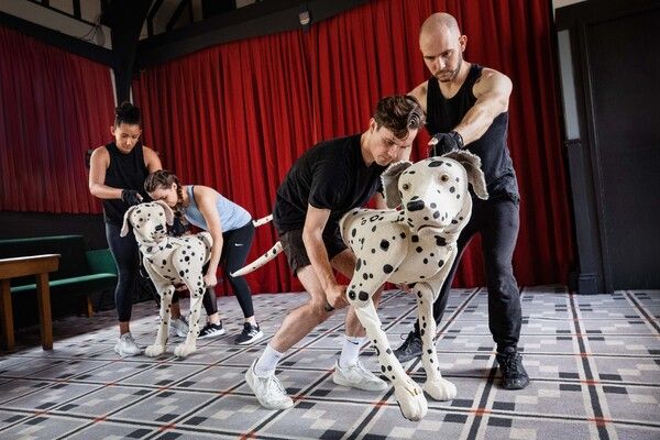 Yana Penrose, Emma Lucia, Danny Collins, Ben Thompson Photo