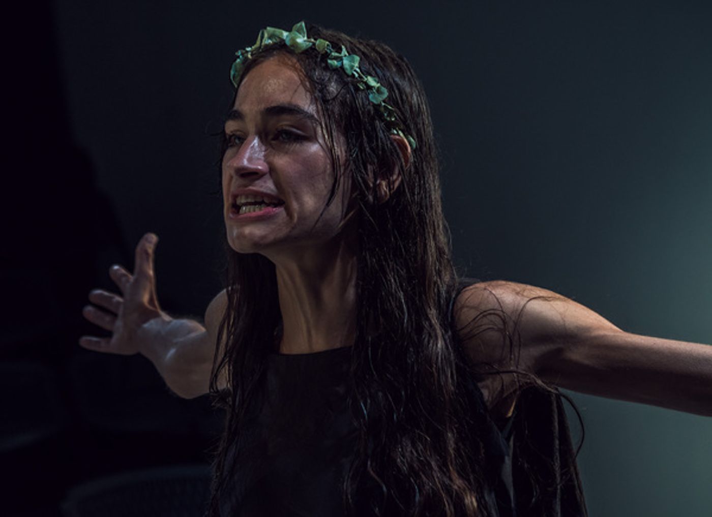 Photos: Redtwist Theater's Modern Adaptation of ANTIGONE Opens This Sunday  Image