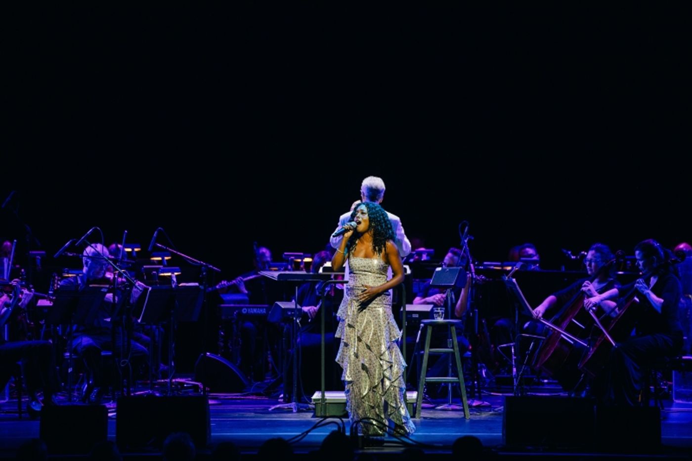 Review: BROADWAY IN THE PARK at Wolf Trap  Image