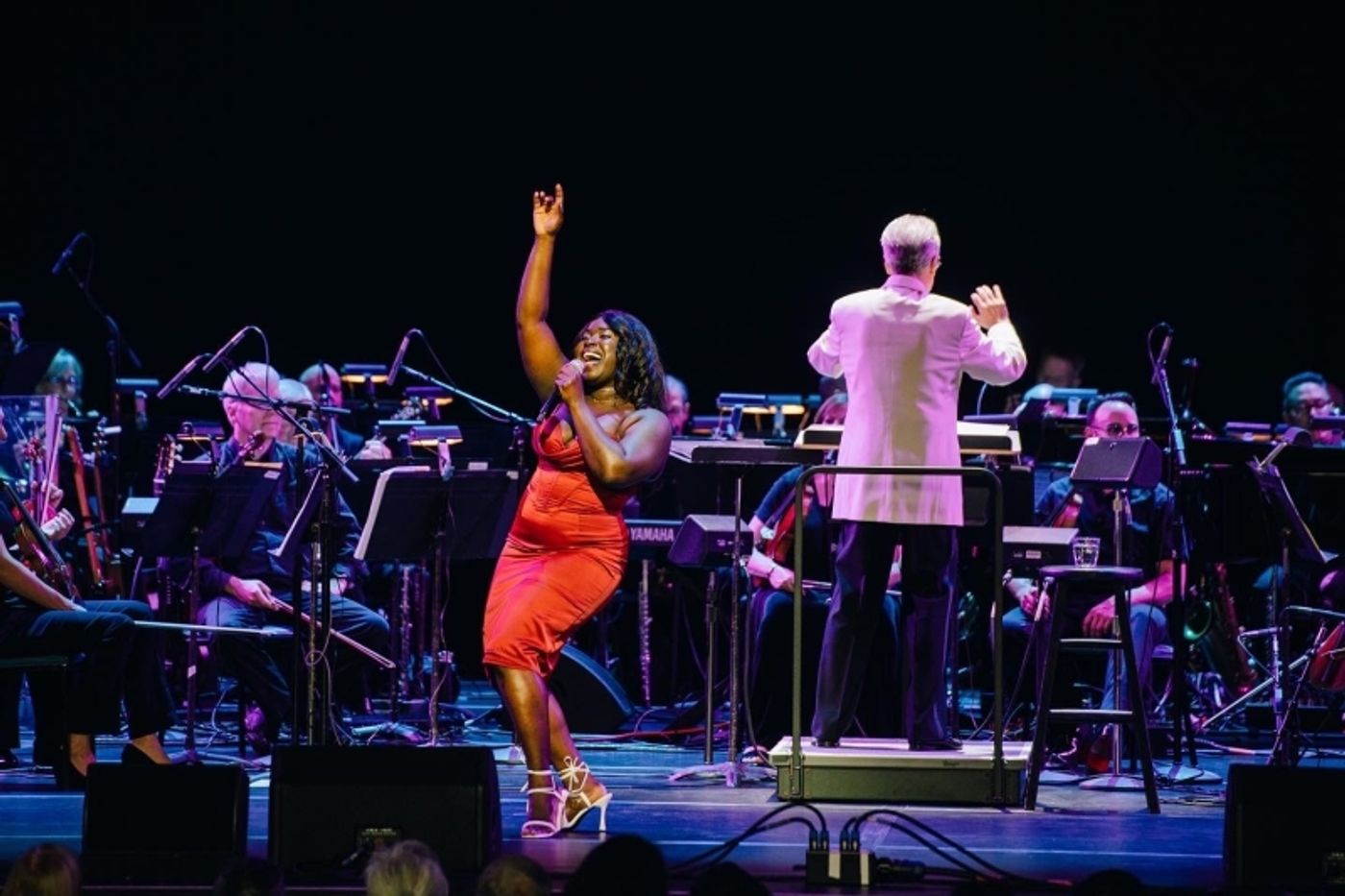 Review: BROADWAY IN THE PARK at Wolf Trap  Image