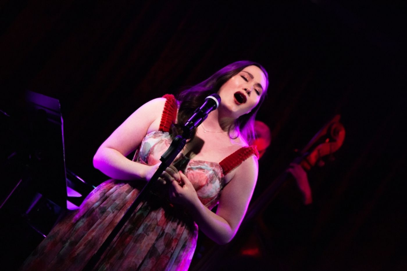 Review: Caitie Frownfelter Is Pitch Pefect In SHOW ME: SONGS FROM BROADWAY'S GOLDEN AGE at Birdland Theater  Image