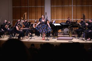 Donna Lynne Champlin Photo