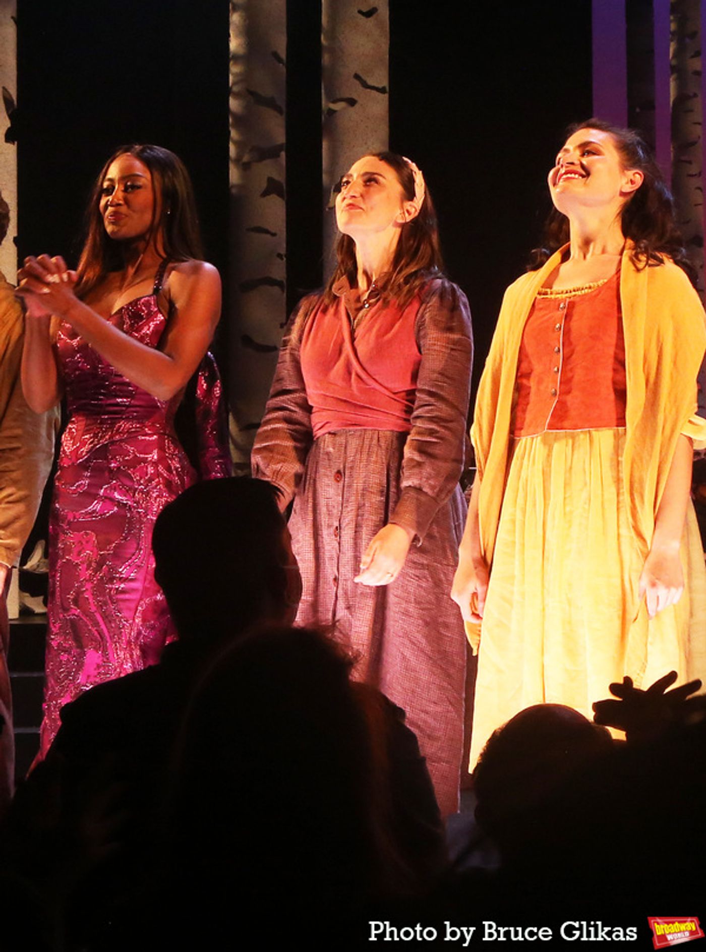Photos: The Cast of INTO THE WOODS Takes Bows at First Preview on Broadway  Image