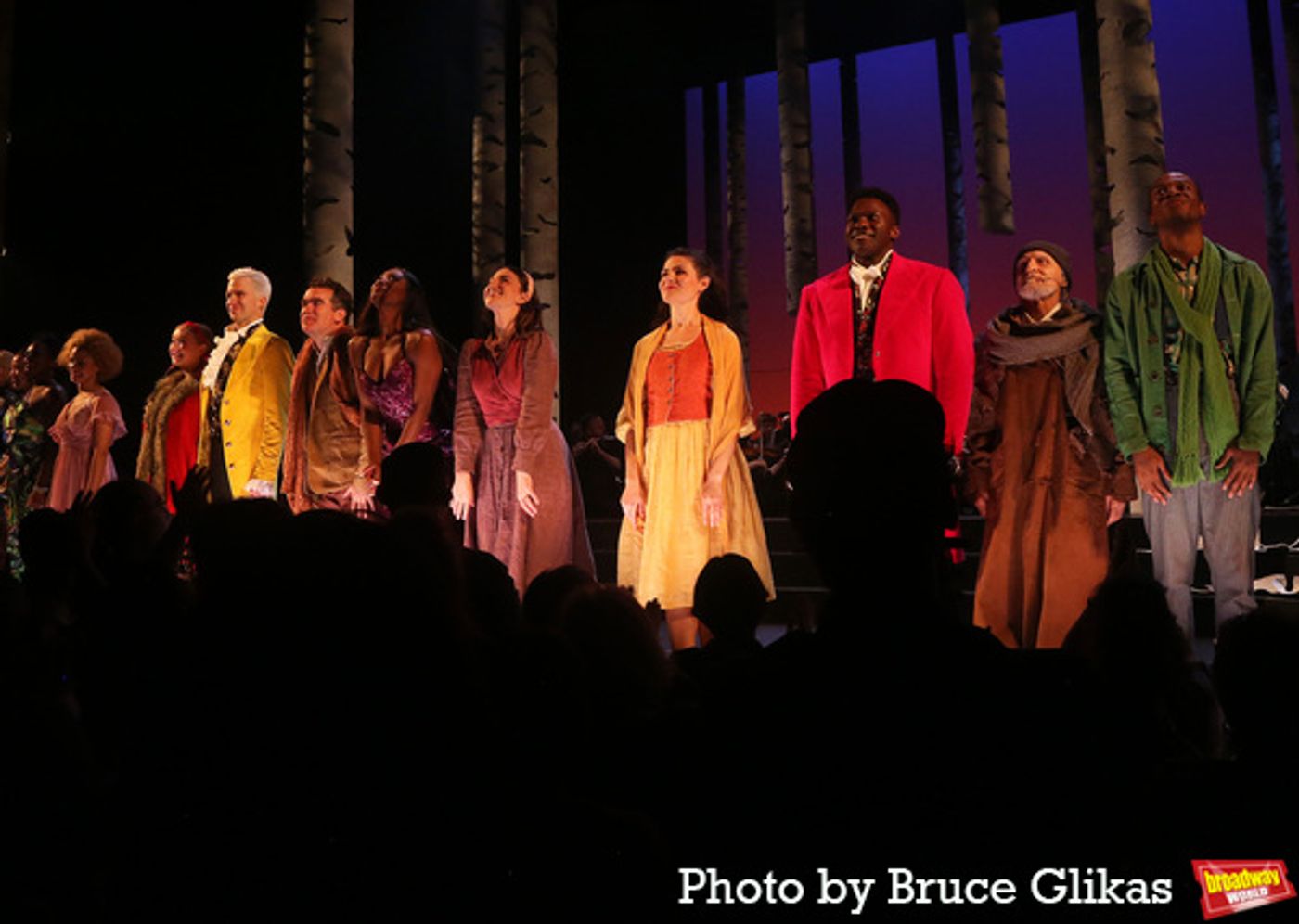 Photos: The Cast of INTO THE WOODS Takes Bows at First Preview on Broadway  Image