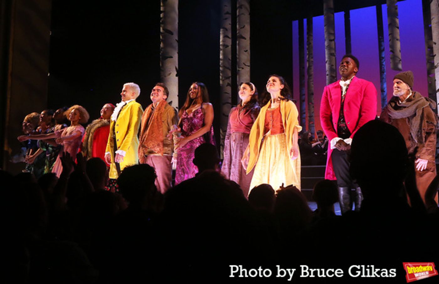 Photos: The Cast of INTO THE WOODS Takes Bows at First Preview on Broadway  Image