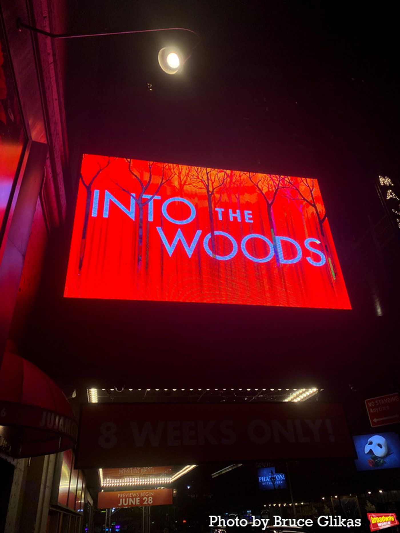 Photos: The Cast of INTO THE WOODS Takes Bows at First Preview on Broadway  Image