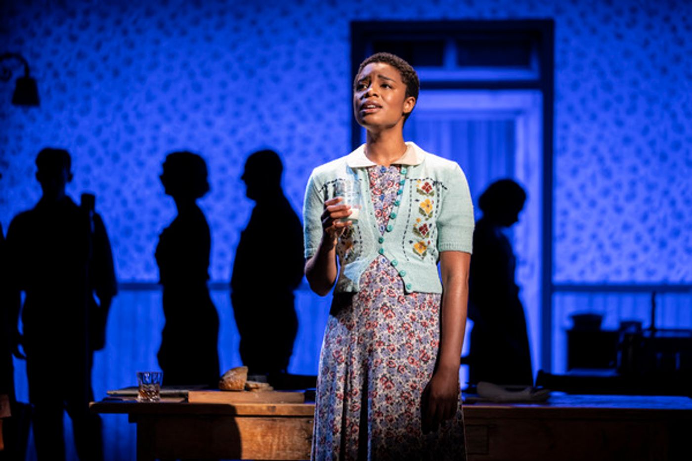 Photos: First Look at GIRL FROM THE NORTH COUNTRY Dublin & UK Tour  Image