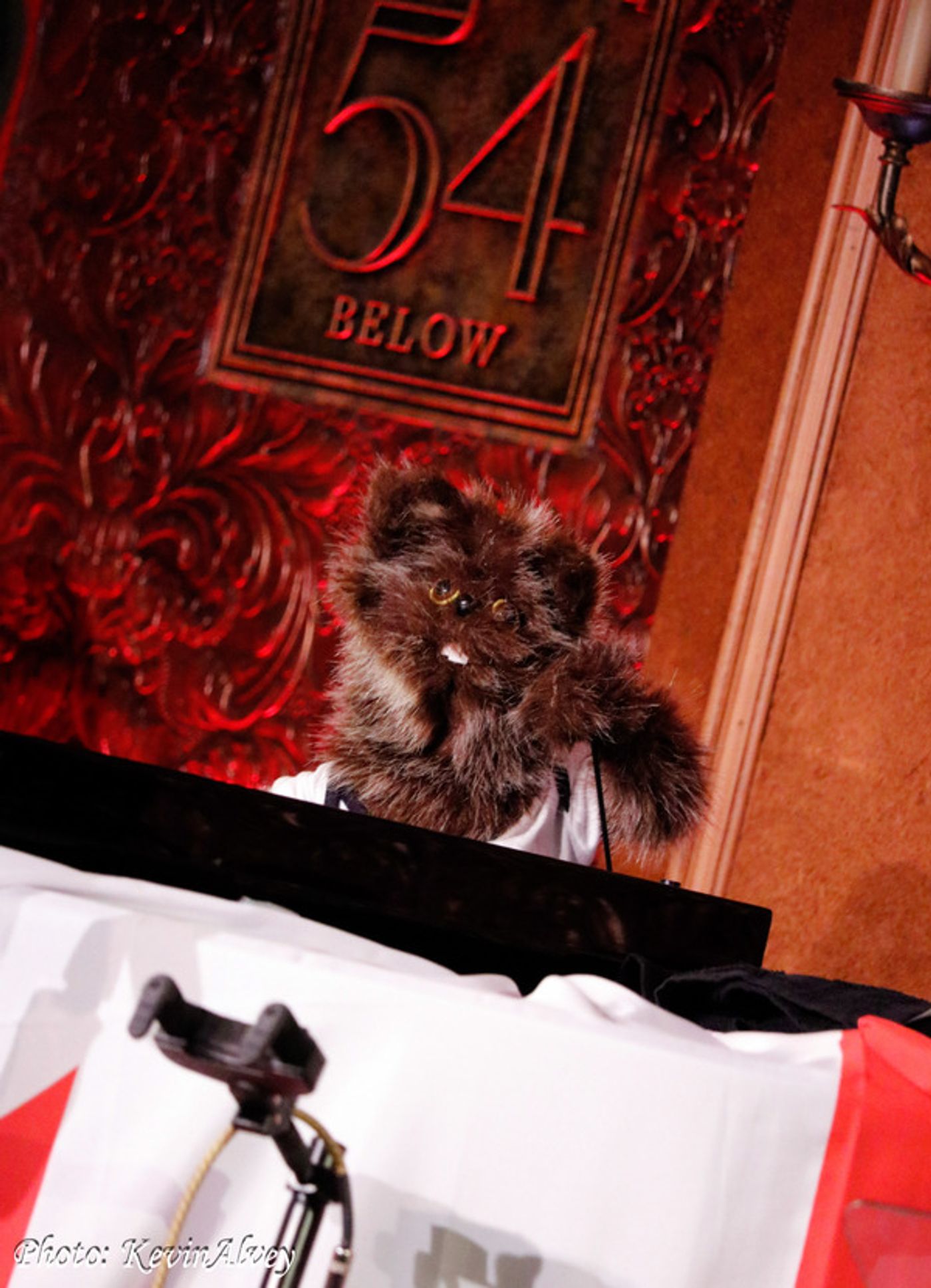 Photos: Joshua Stackhouse showcase for CANADA DAY at Feinstein's/54 Below  Image