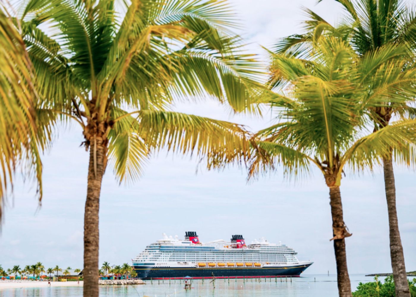 Interview: Matt Shingledecker Stars in Dazzling Shows on the New DISNEY WISH Cruise  Image
