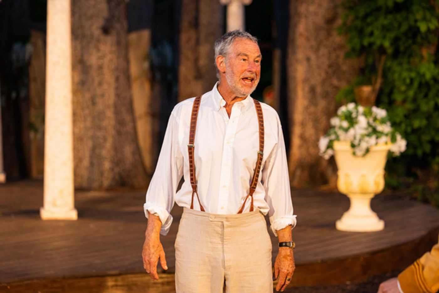 Photos: MUCH ADO ABOUT NOTHING Opens At Shakespeare & Company  Image