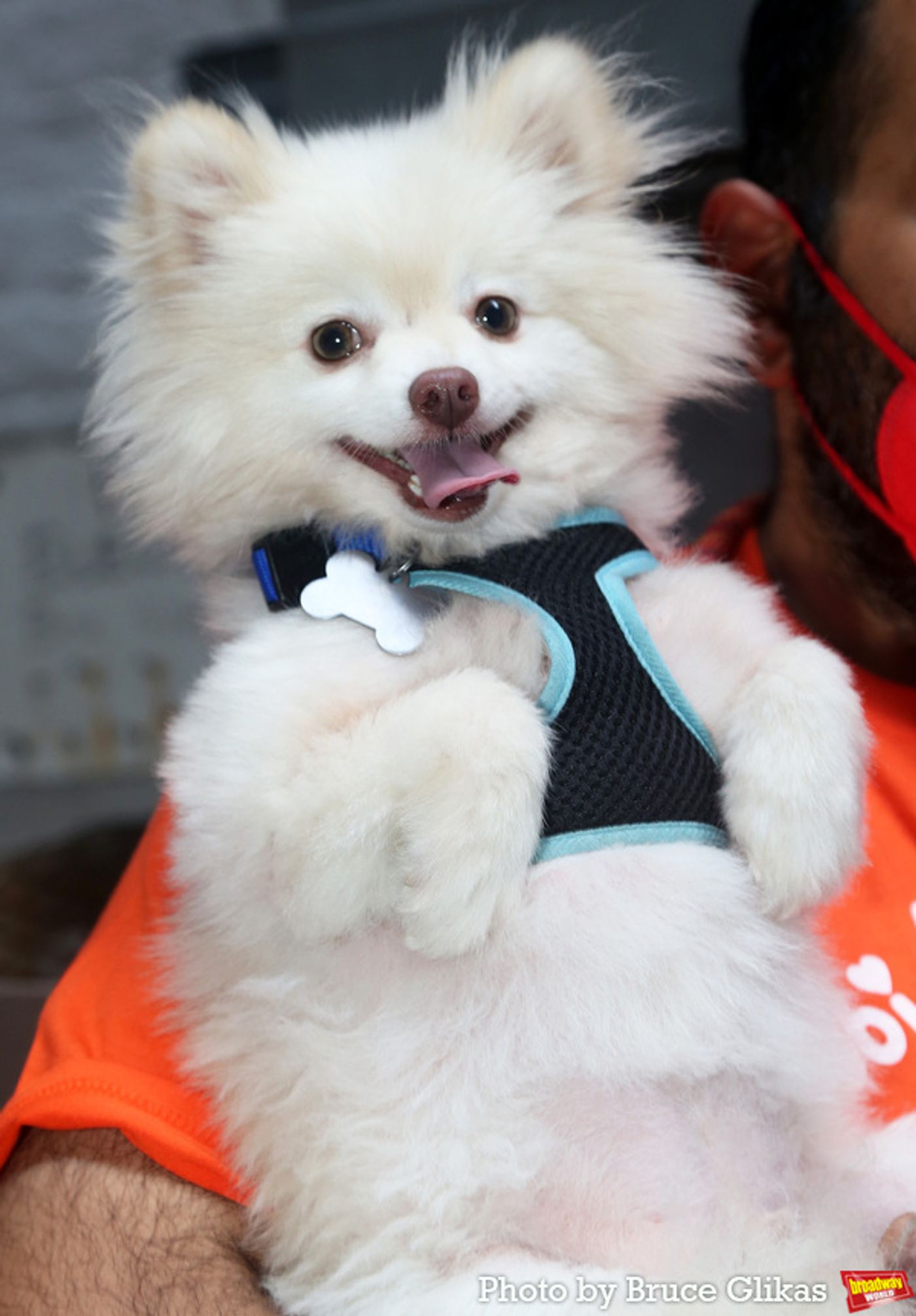 Photos: Go Inside Broadway Barks with Bernadette Peters & More!  Image