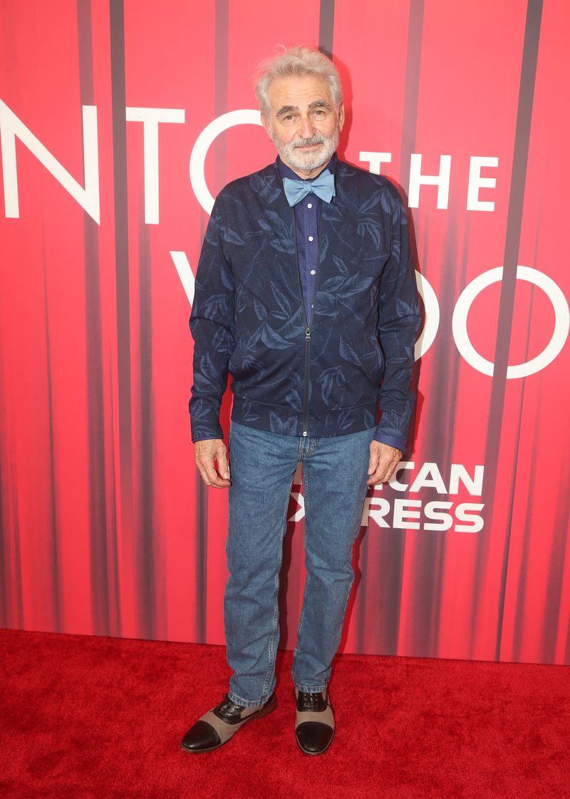 Photos: On the Red Carpet with the Cast of INTO THE WOODS — photo 51 of 72