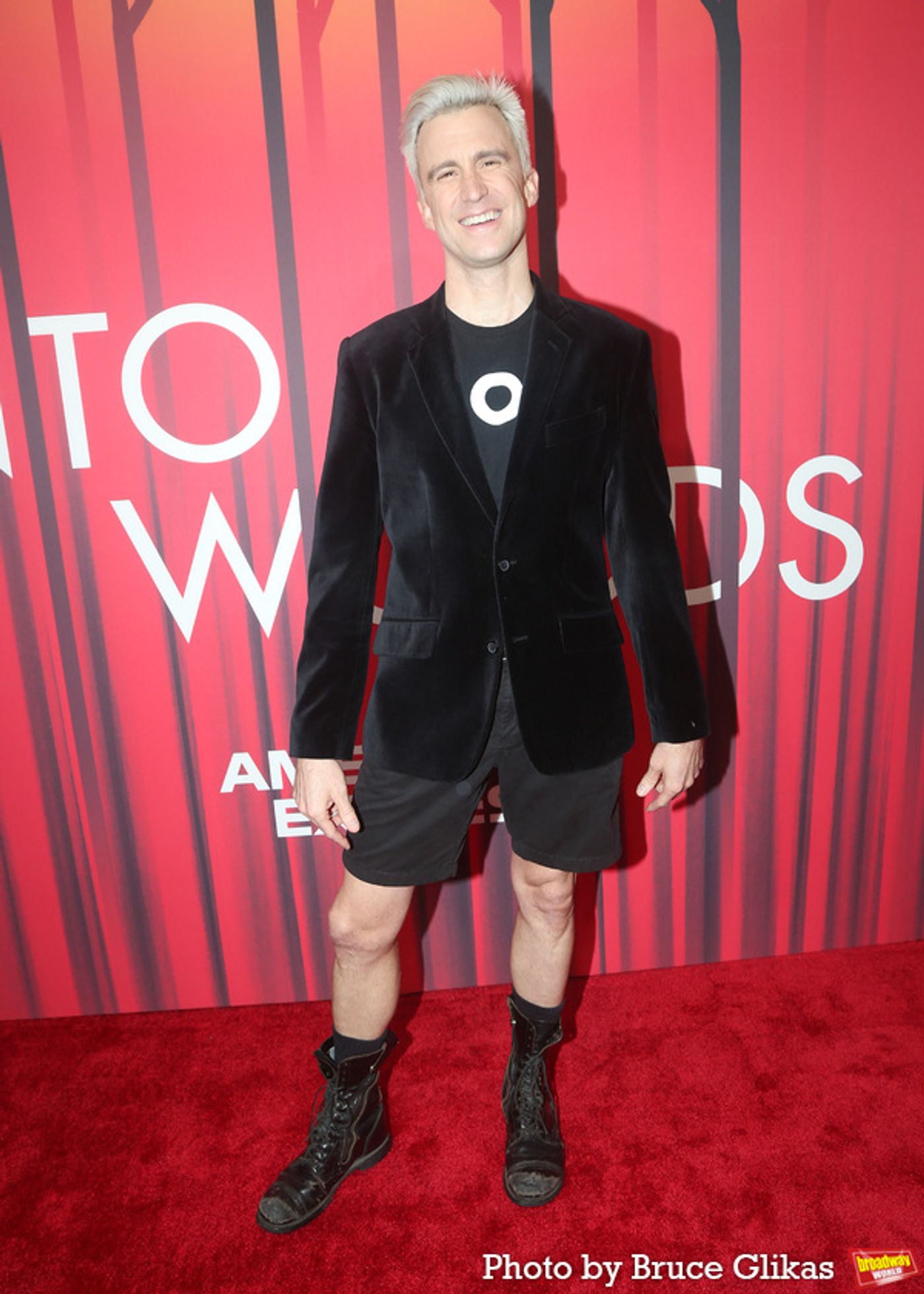 Photos: On the Red Carpet with the Cast of INTO THE WOODS  Image