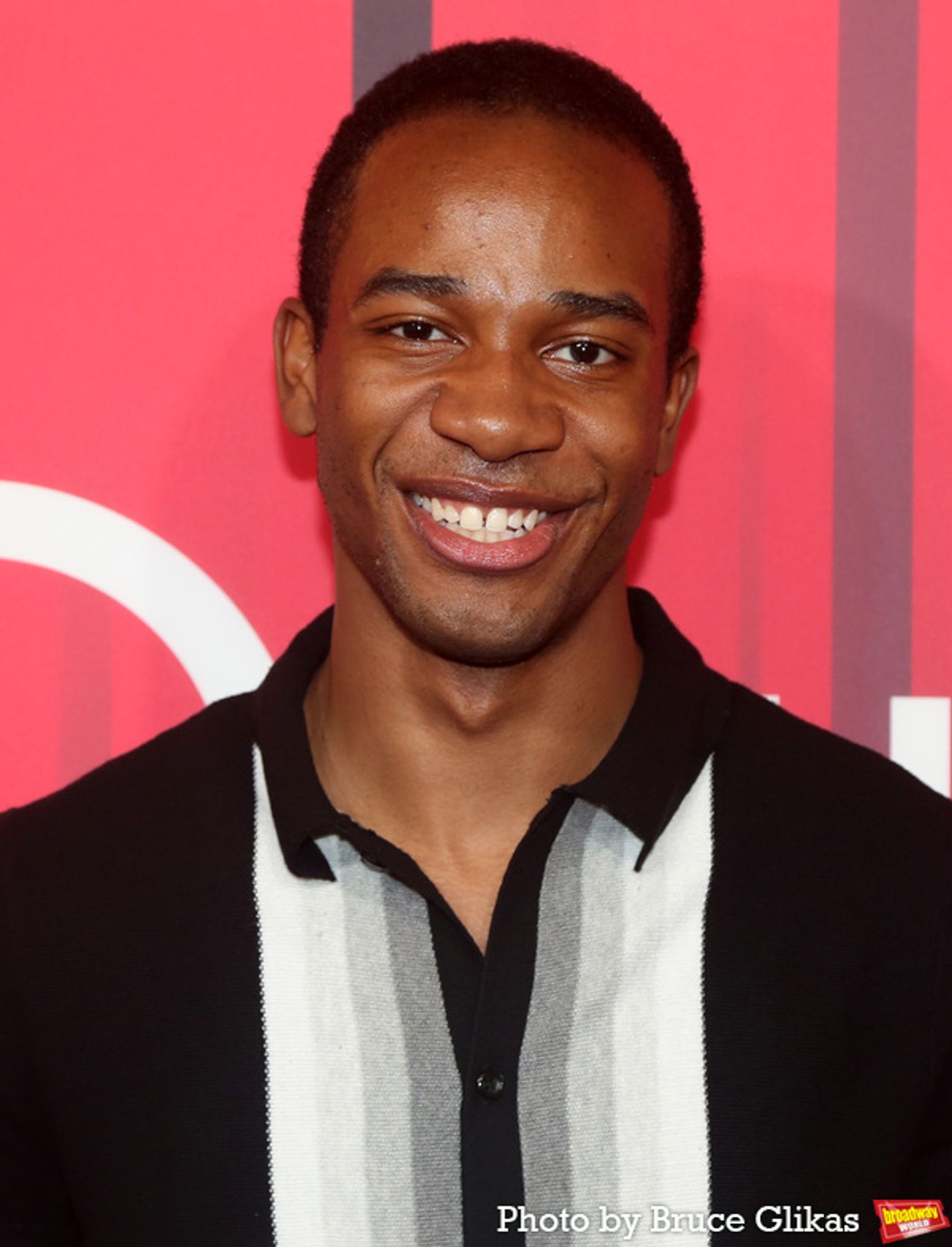 Photos: On the Red Carpet with the Cast of INTO THE WOODS  Image