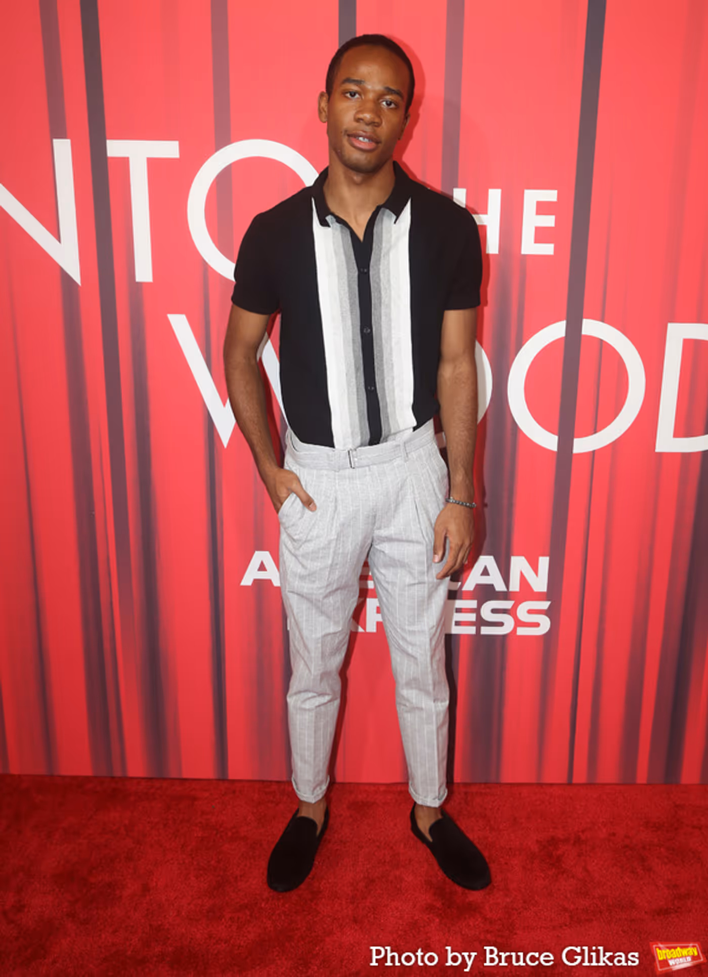 Photos: On the Red Carpet with the Cast of INTO THE WOODS  Image