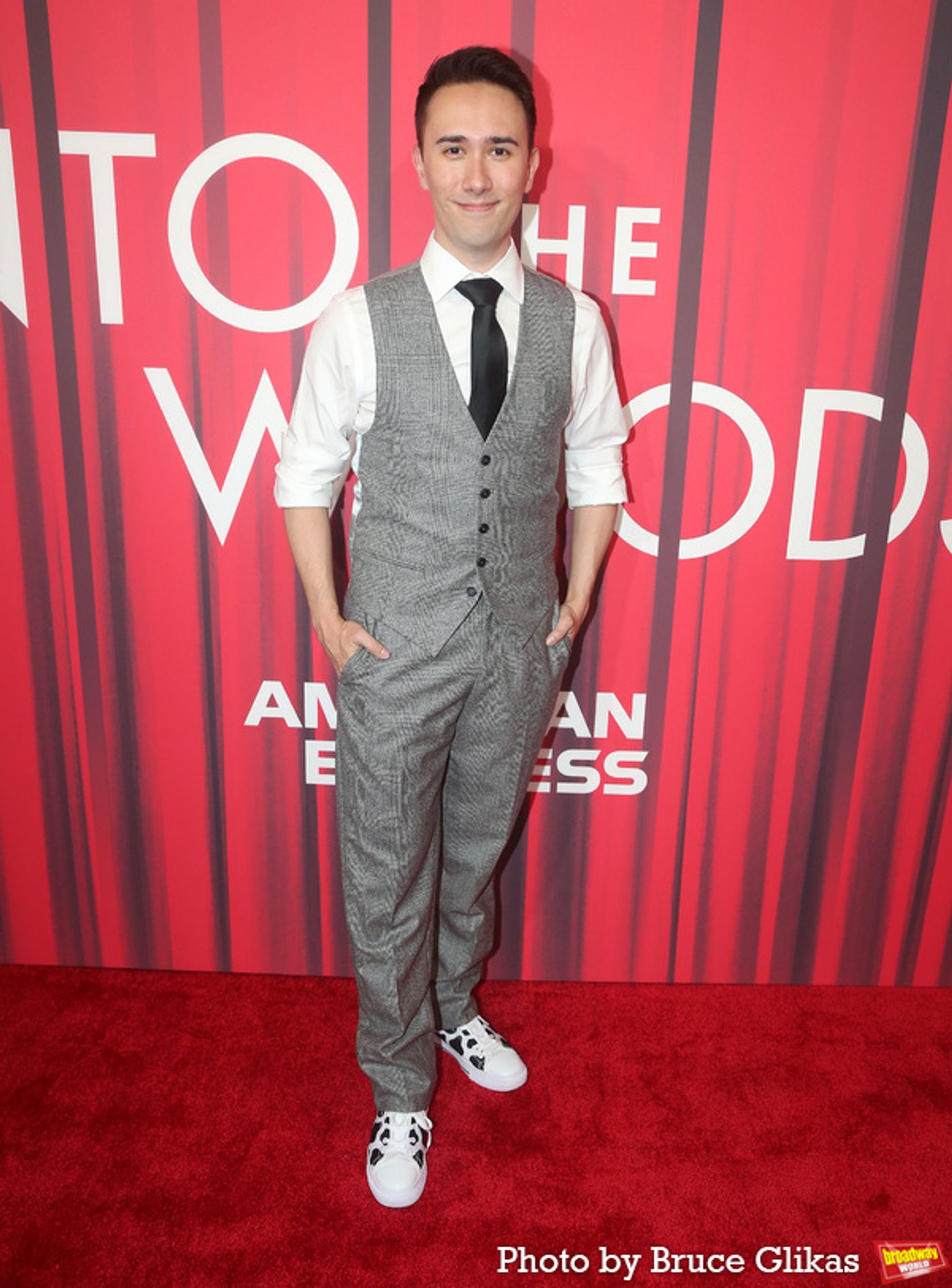 Photos: On the Red Carpet with the Cast of INTO THE WOODS  Image