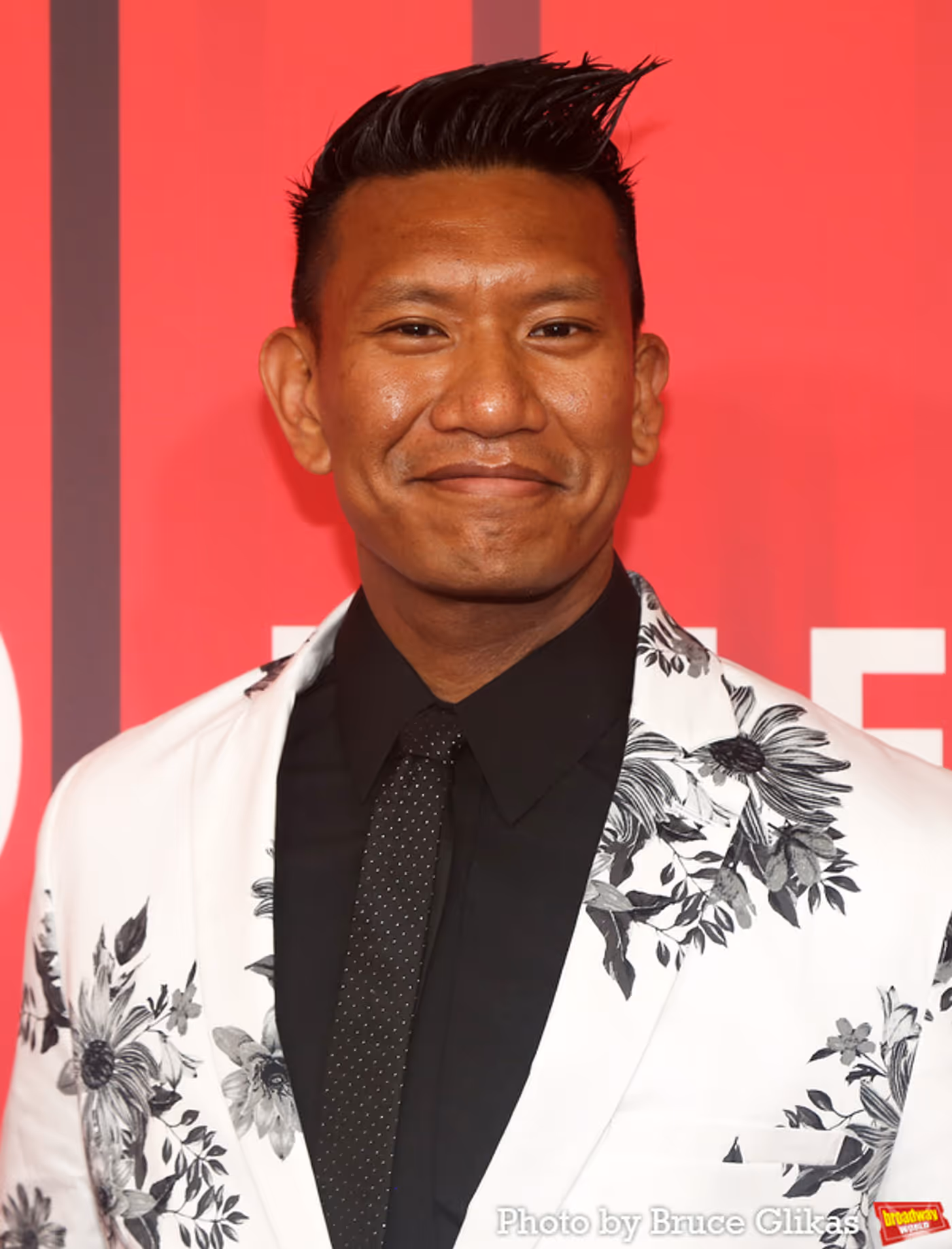 Photos: On the Red Carpet with the Cast of INTO THE WOODS  Image