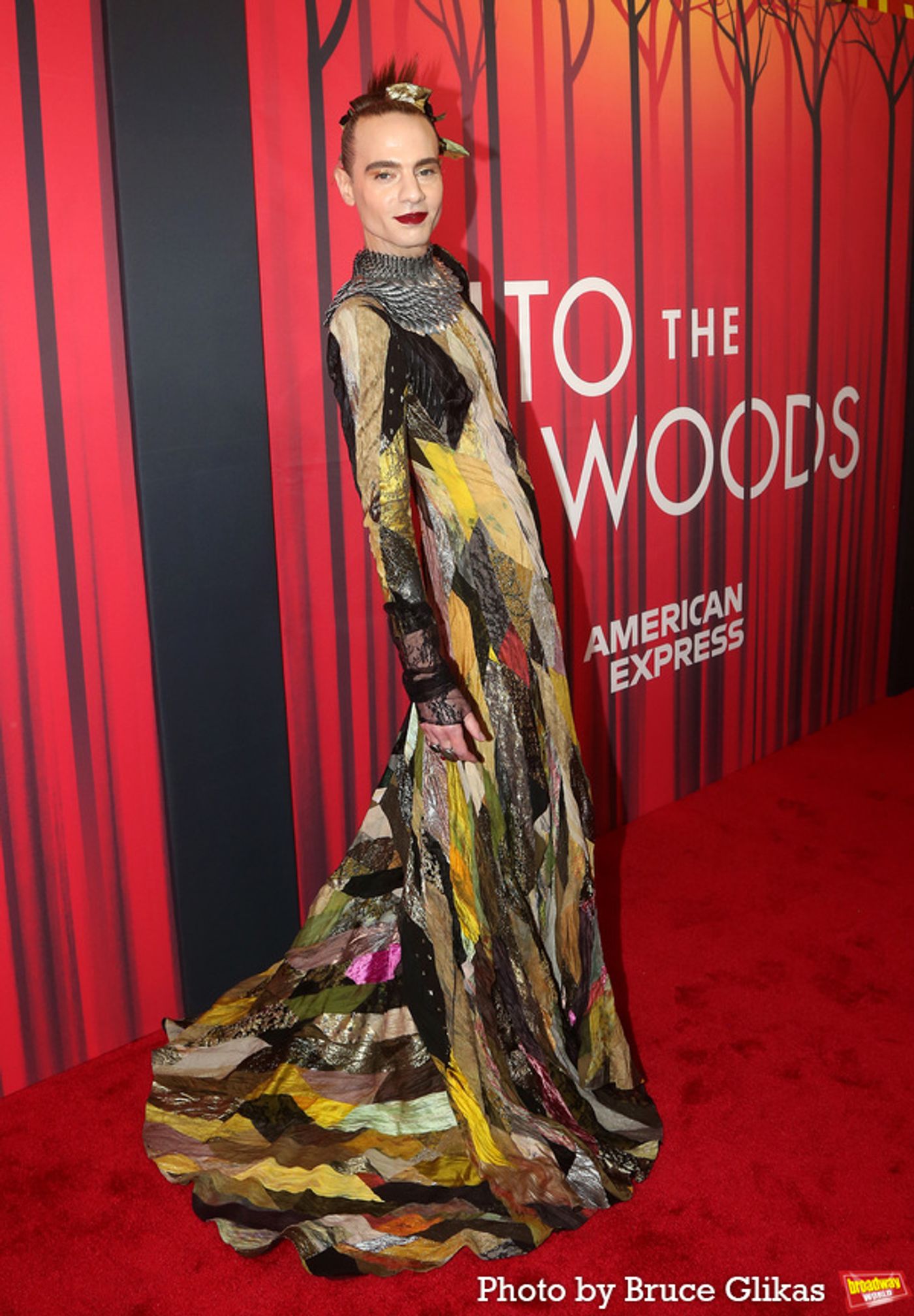 Photos: On the Red Carpet with the Cast of INTO THE WOODS  Image
