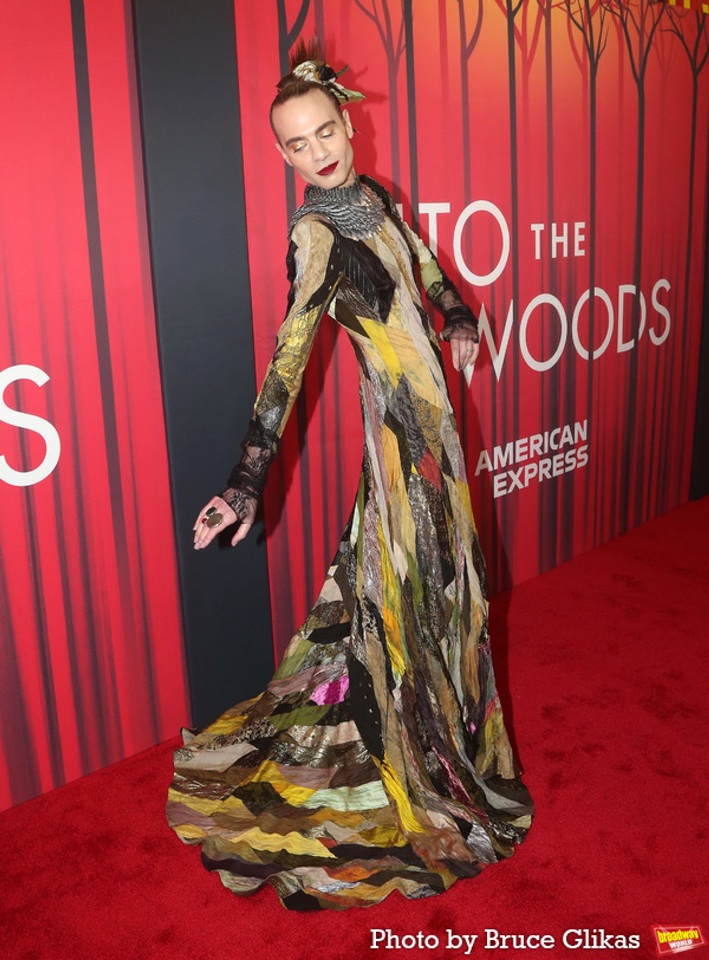 Photos: On the Red Carpet with the Cast of INTO THE WOODS  Image