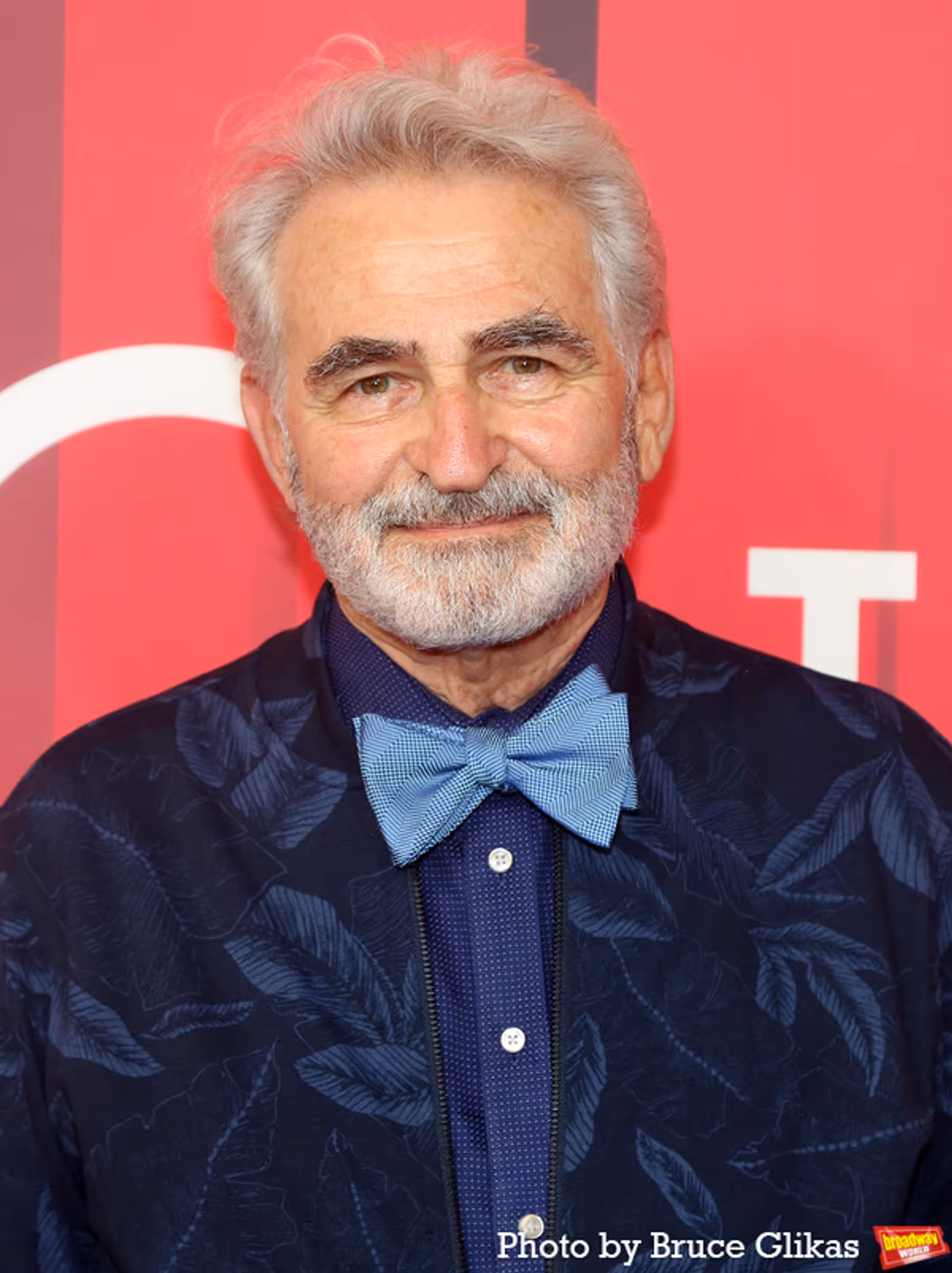 Photos: On the Red Carpet with the Cast of INTO THE WOODS  Image