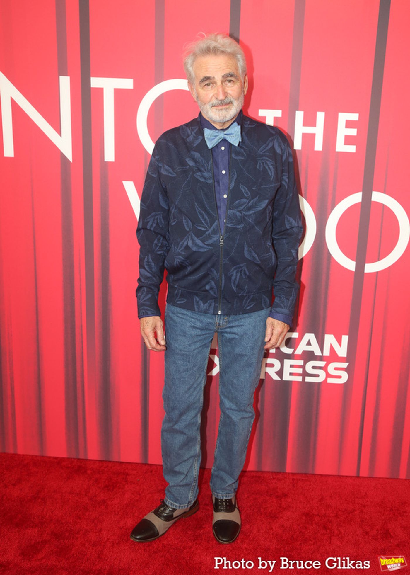 Photos: On the Red Carpet with the Cast of INTO THE WOODS  Image