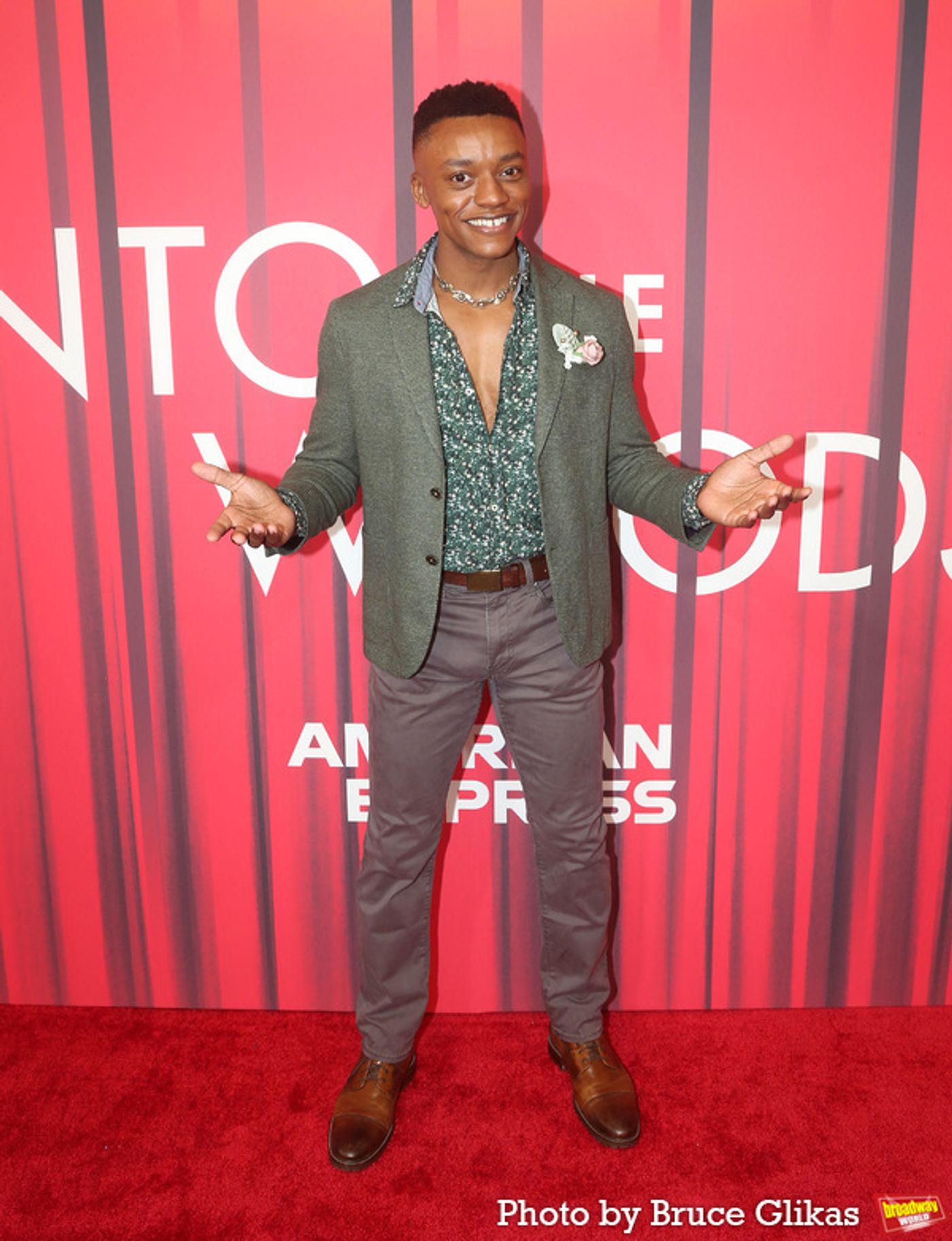 Photos: On the Red Carpet with the Cast of INTO THE WOODS  Image