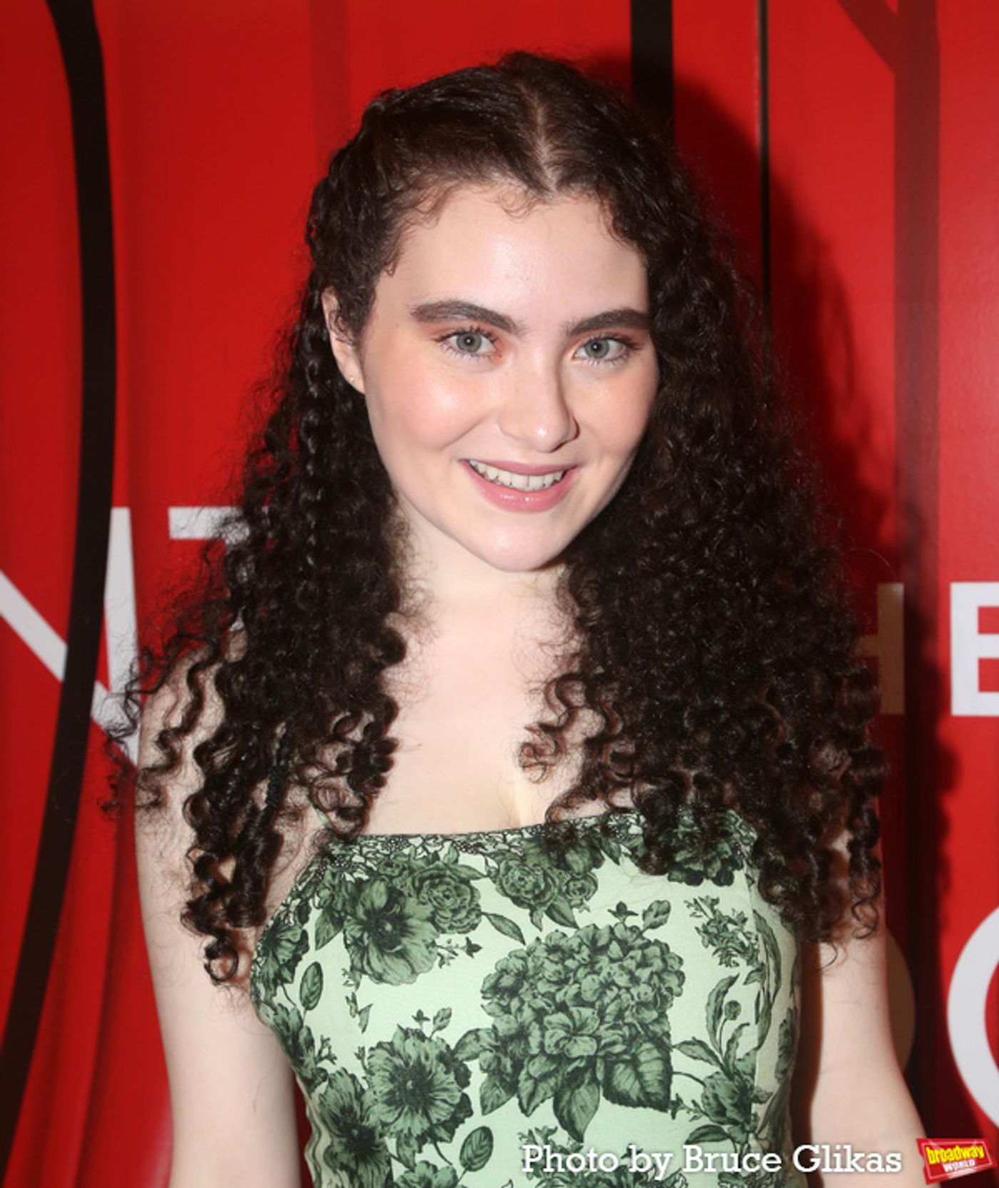 Photos: The Stars Arrive at Opening Night of INTO THE WOODS  Image
