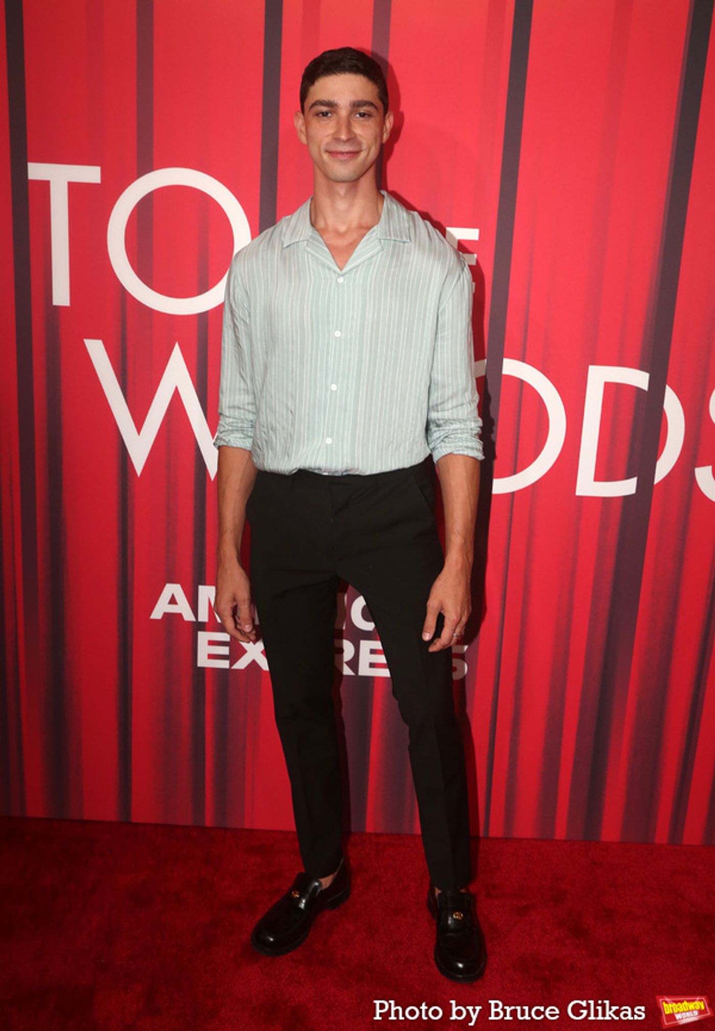 Photos: The Stars Arrive at Opening Night of INTO THE WOODS  Image